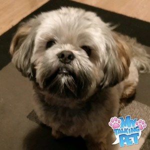 Meet your Posher, Sonia